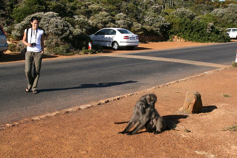 Simon's Town (45).jpg